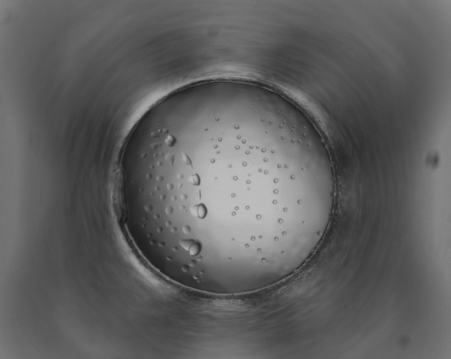 X0000090751383200708031558