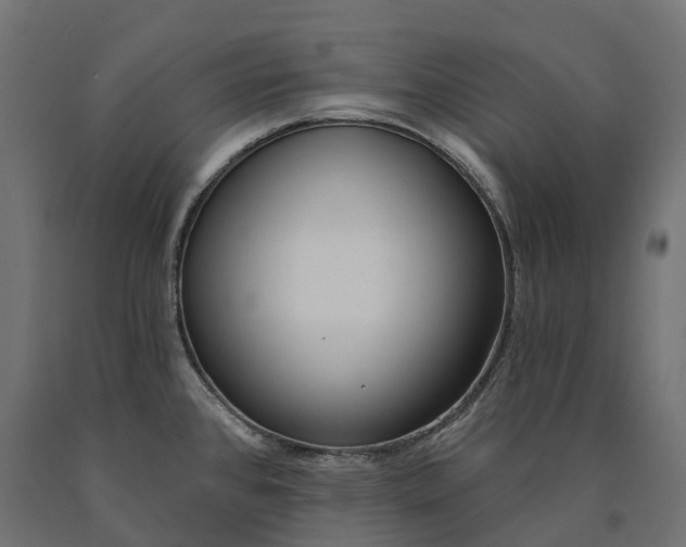 X0000090751384200708031558