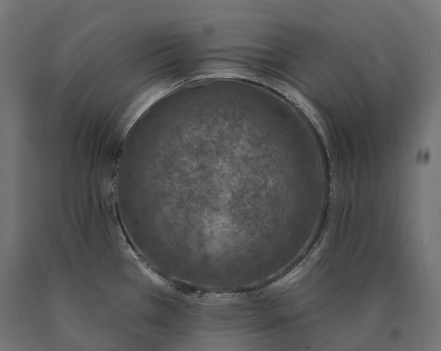 X0000090751385200708031558