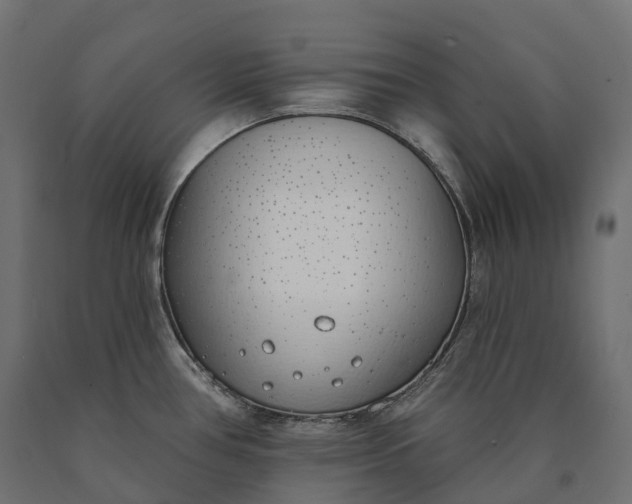 X0000090751386200708031558