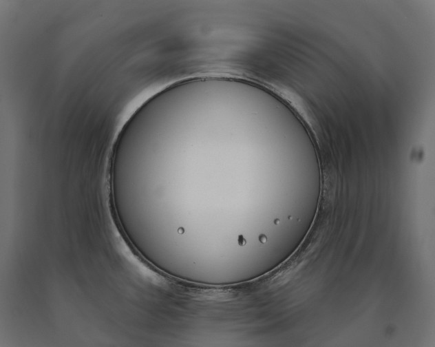 X0000090751387200708031558