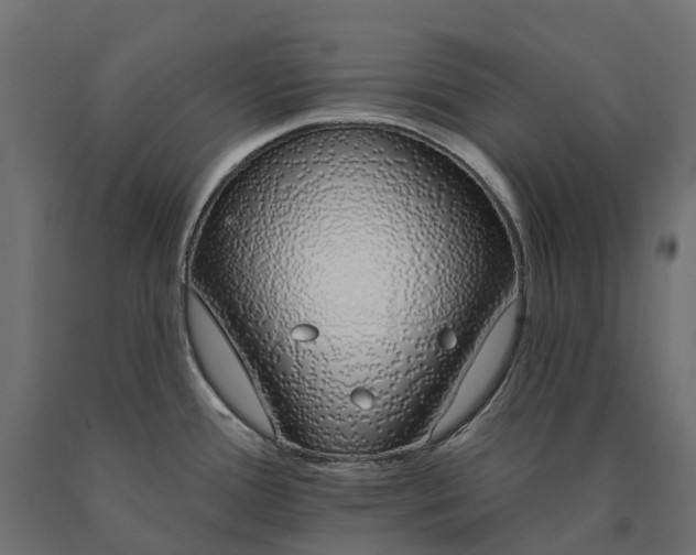 X0000090751388200708031558