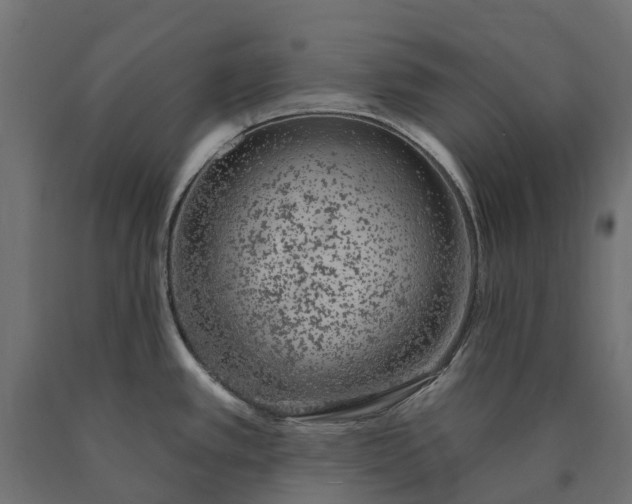 X0000090751389200708031558