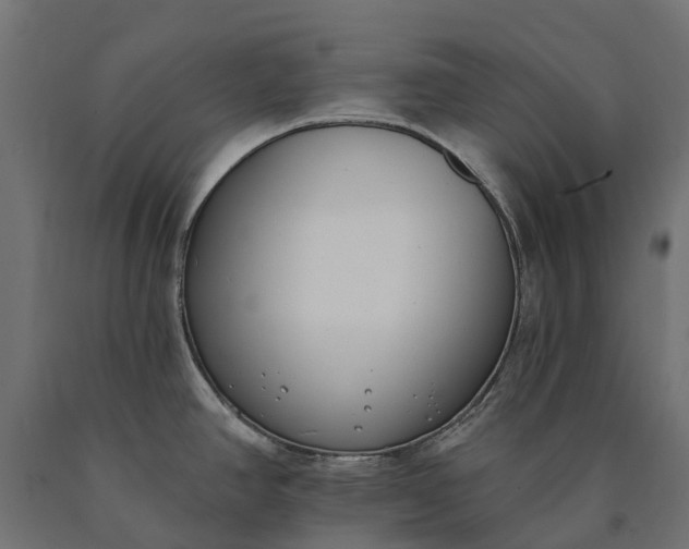 X0000090751390200708031558