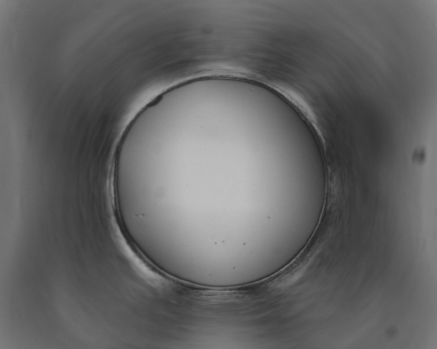 X0000090751391200708031558