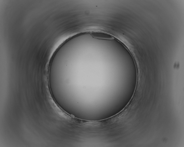 X0000090751392200708031558