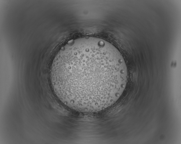 X0000090751393200708031557