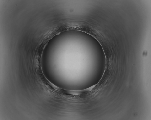 X0000090751394200708031557