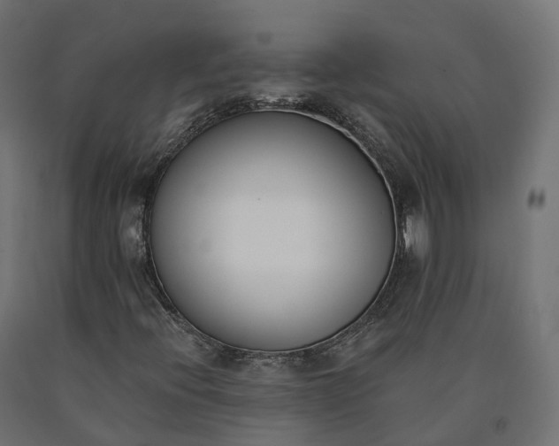 X0000090751396200708031557