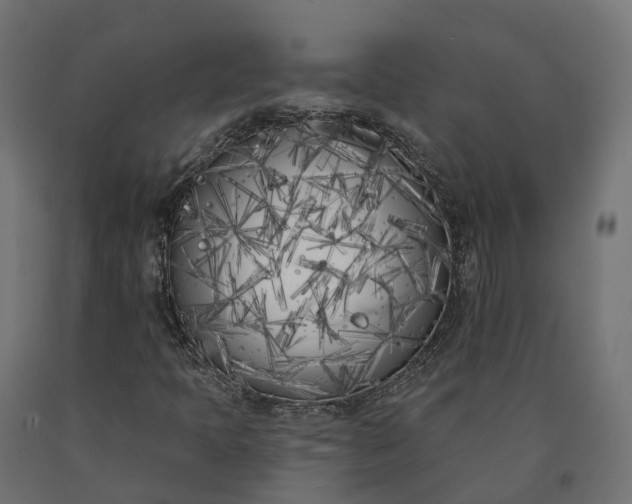 X0000090751397200708031557