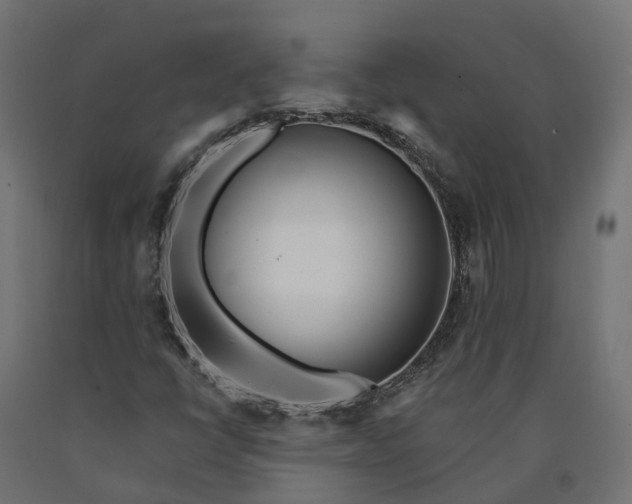 X0000090751398200708031557