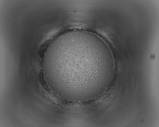 X0000090751399200708031557