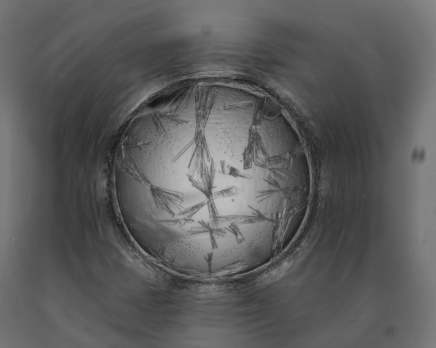 X0000090751401200708031557