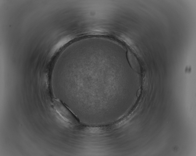 X0000090751402200708031557