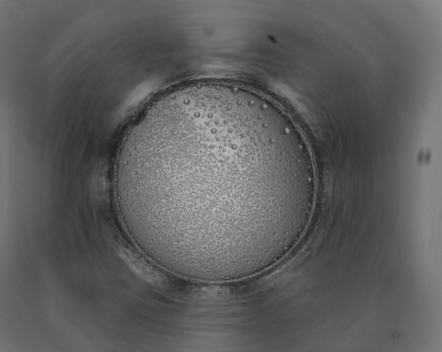 X0000090751403200708031557