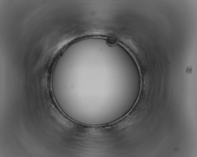 X0000090751404200708031557