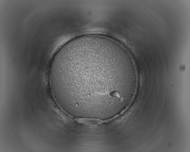 X0000090751405200708031557