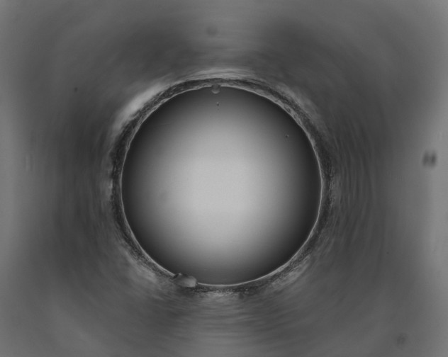 X0000090751406200708031557