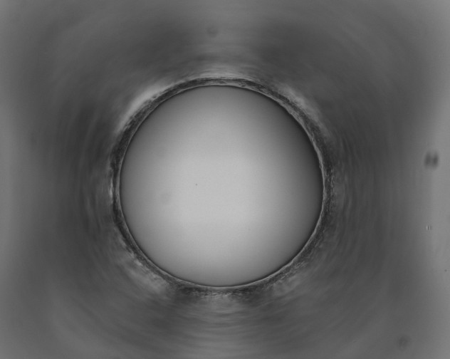 X0000090751408200708031558