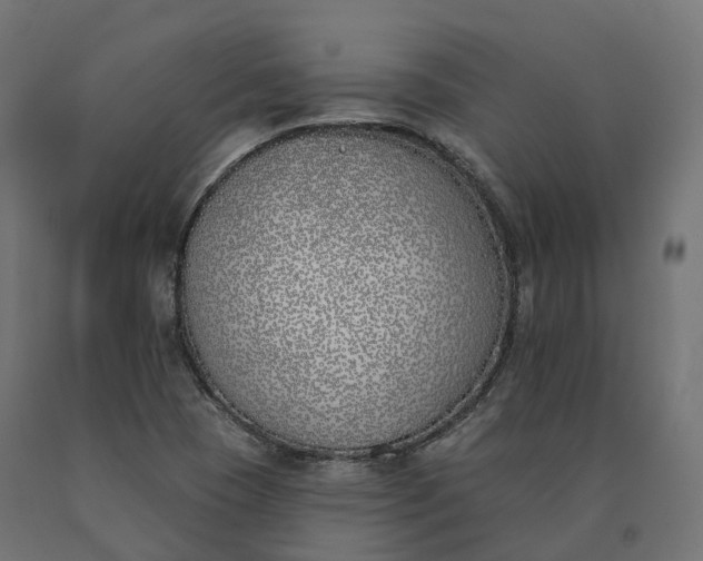 X0000090751409200708031558