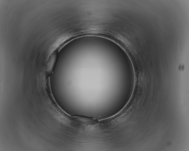 X0000090751410200708031558