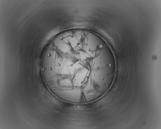 X0000090751411200708031558