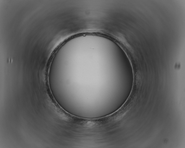 X0000090751412200708031558