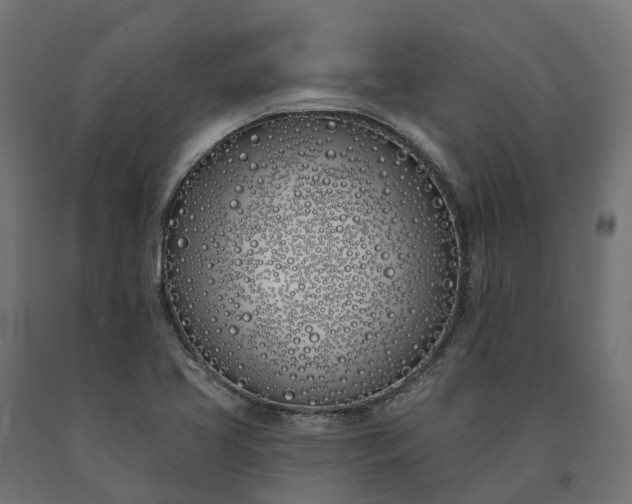 X0000090751413200708031558