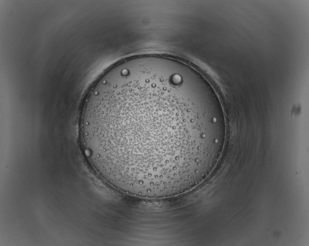 X0000090751415200708031558