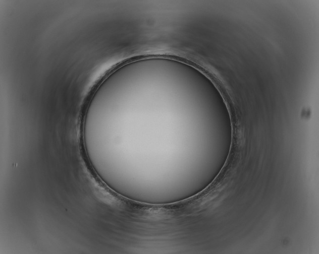 X0000090751416200708031558