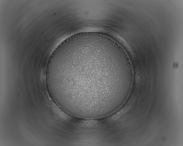 X0000090751417200708031558