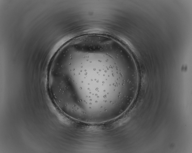 X0000090751418200708031558