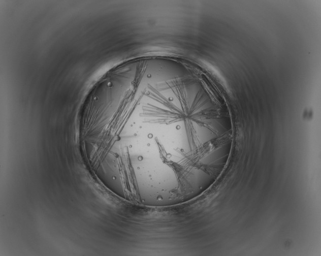 X0000090751419200708031558