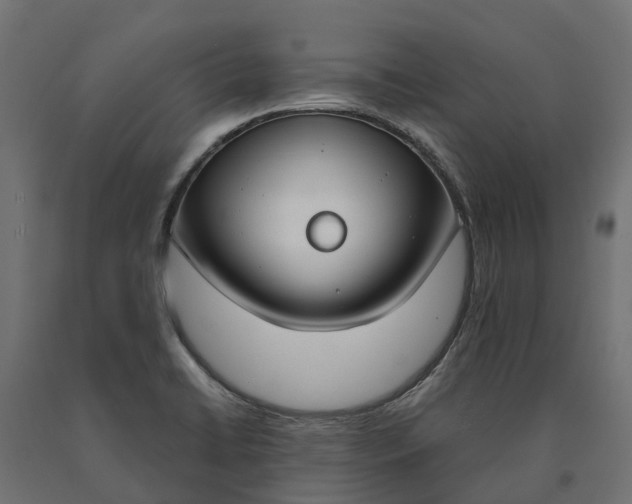 X0000090751422200708031558