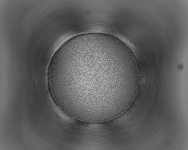 X0000090751423200708031558