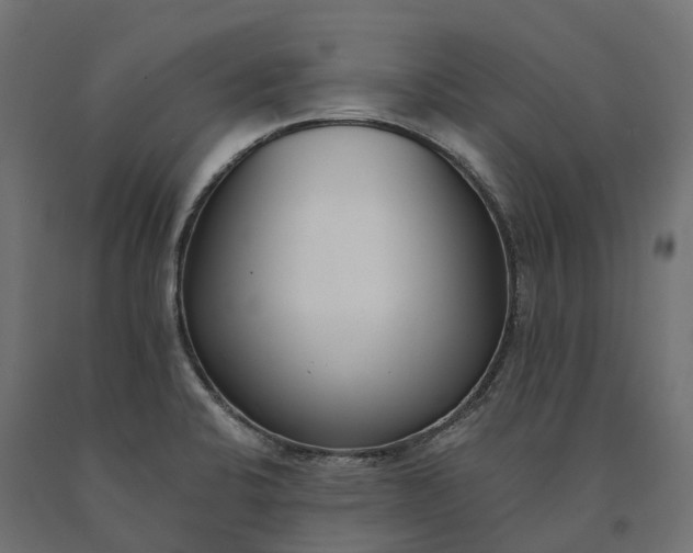 X0000090751424200708031558