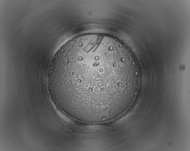 X0000090751425200708031558