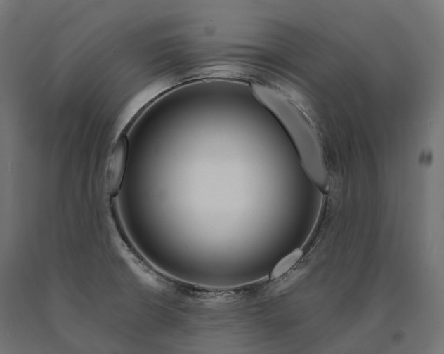 X0000090751426200708031558