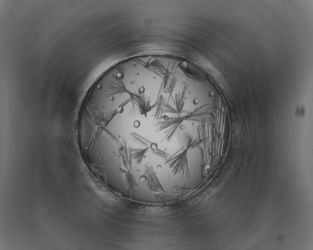 X0000090751427200708031558