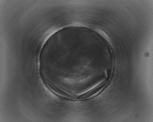 X0000090751428200708031558