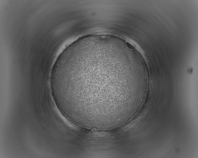 X0000090751429200708031558