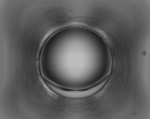 X0000090751430200708031558