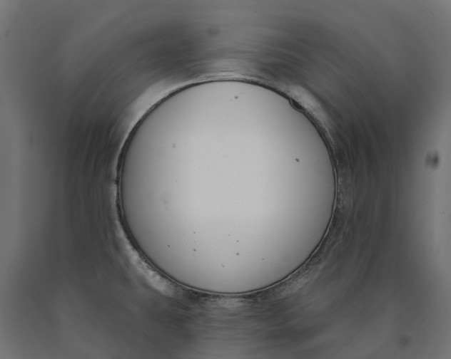 X0000090751431200708031558