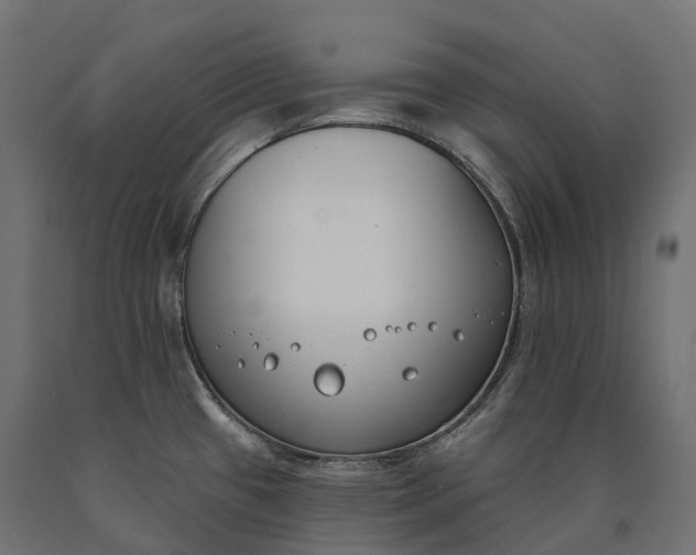 X0000090751433200708031558