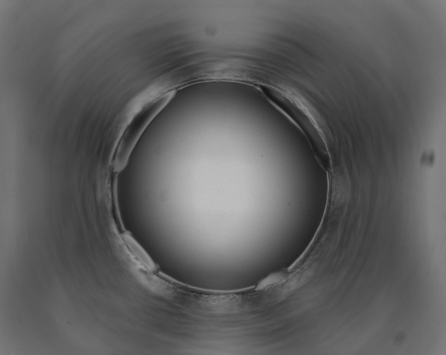 X0000090751434200708031558