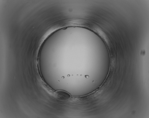 X0000090751435200708031558