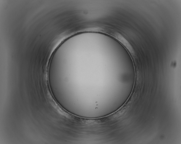 X0000090751436200708031558