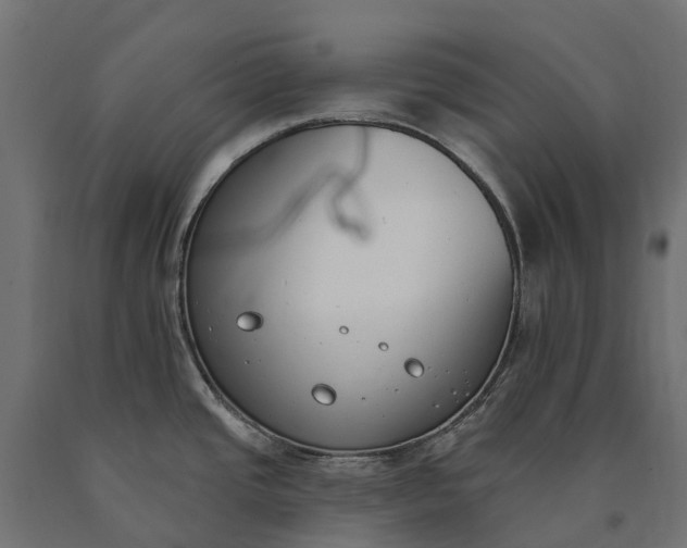 X0000090751437200708031558