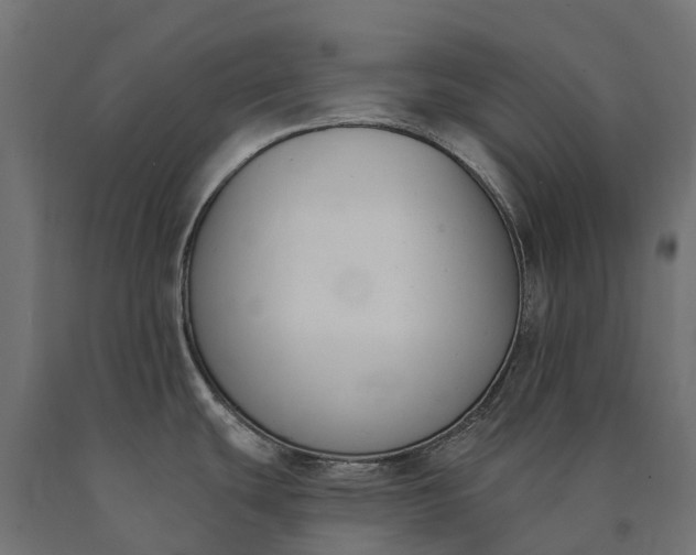 X0000090751439200708031558