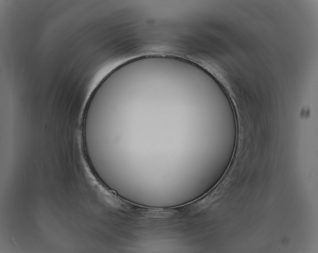 X0000090751440200708031558